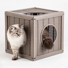 Qublo Cat Play House Cube